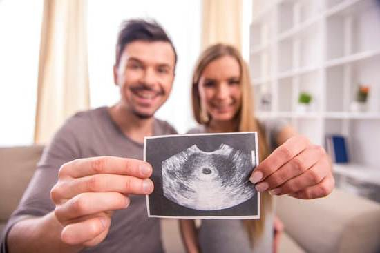 Fertility Counseling Definition
