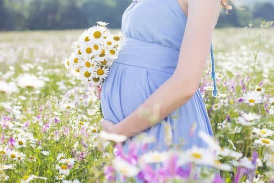 Fertility Nurse