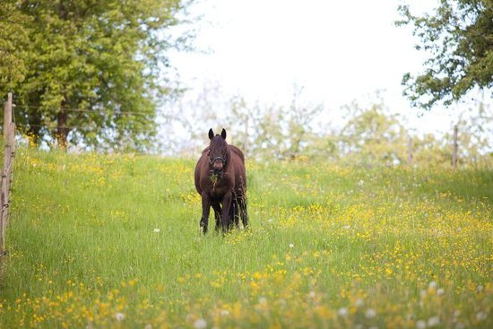 Fertility Specialists 233 Collins Street Melbourne Vic 3000 Fertility Specialists 233 Collins Street Melbourne Vic 3000