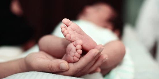 New Leaders In Fertility New Leaders In Fertility