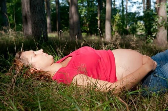 Pregnant Fertility Charts