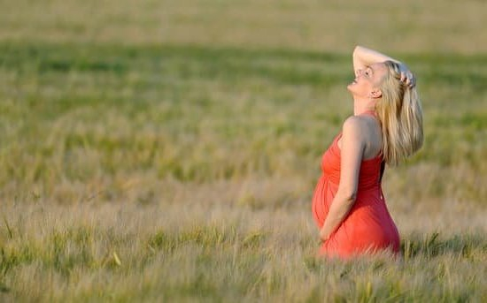 Quest Fertility Test Quest Fertility Test