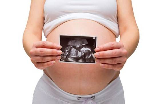 The Fertility Rate
