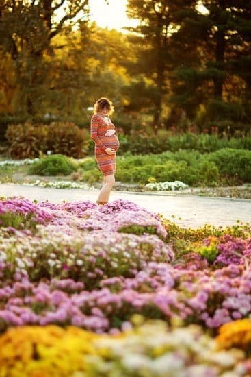 Evening Primrose Oil For Fertility