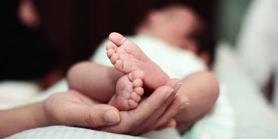 Highest Dose Of Letrozole For Fertility Highest Dose Of Letrozole For Fertility