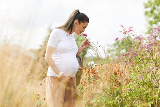 How Soon Can I Take A Pregnancy Test After Sex