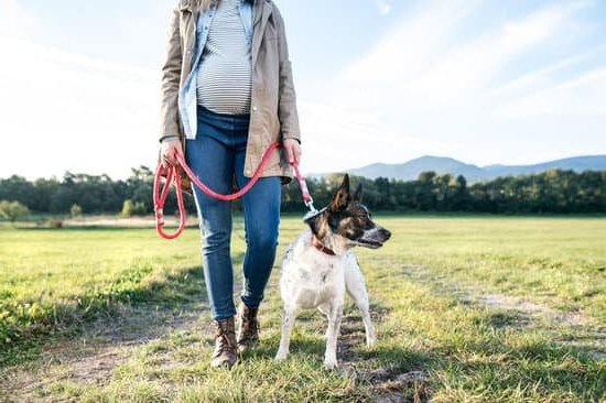 Modern Fertility Pregnancy Test Modern Fertility Pregnancy Test