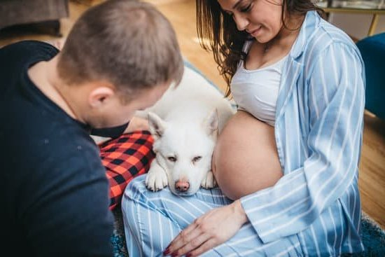 Early Pregnancy Symptoms 1 Week Early Pregnancy Symptoms 1 Week