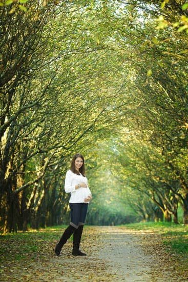 How Soon Will A Pregnancy Test Be Positive You Getting Pregnant