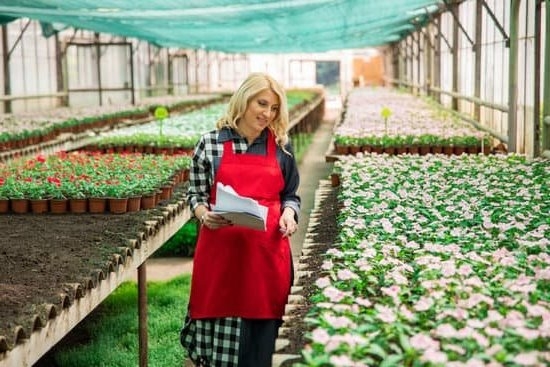 Brown Discharge After Pregnancy C Section Brown Discharge After Pregnancy C Section