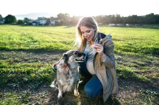 Can A Pregnancy Test Strip Be Wrong