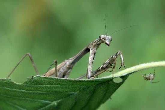 Can Clear Watery Discharge Be An Early Sign Of Pregnancy Can Clear Watery Discharge Be An Early Sign Of Pregnancy