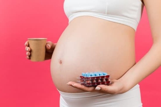 Can Kangaroos Pause Their Pregnancy Can Kangaroos Pause Their Pregnancy