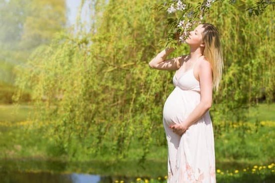 Clear Blue Pregnancy Tests Positive Clear Blue Pregnancy Tests Positive