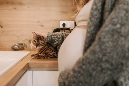 Discharge In Poop During Pregnancy