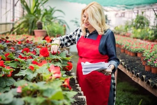 How Early Are Pregnancy Tests Accurate How Early Are Pregnancy Tests Accurate