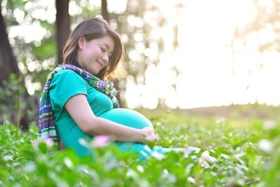 Is L Theanine Safe During Pregnancy Is L Theanine Safe During Pregnancy