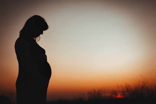 Mucus Plug Early Pregnancy Discharge Mucus Plug Early Pregnancy Discharge