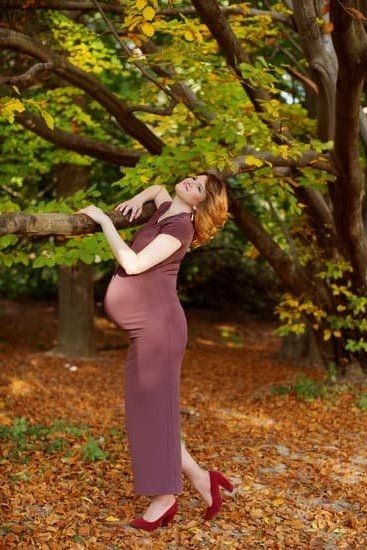 Pelvic Bone Pain During Pregnancy Third Trimester