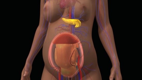 Pregnancy Discharge What Does It Look Like