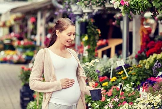 Skin Care Safe For Pregnancy Skin Care Safe For Pregnancy