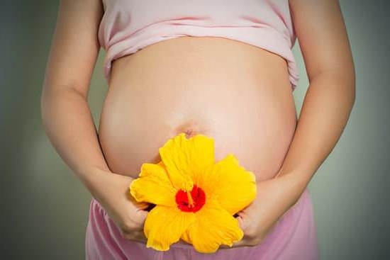 Thick Clear Jelly Like Discharge Pregnancy Thick Clear Jelly Like Discharge Pregnancy