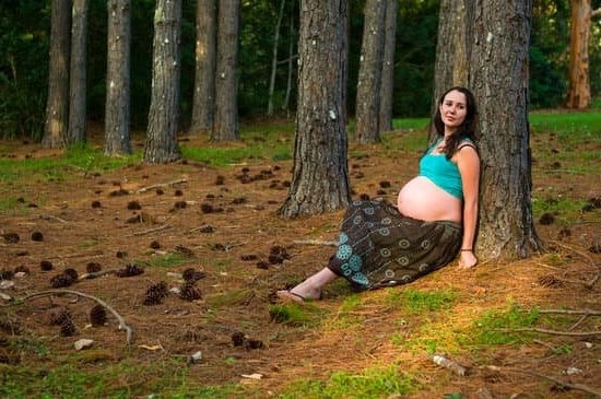 Trimesters Of Pregnancy Chart