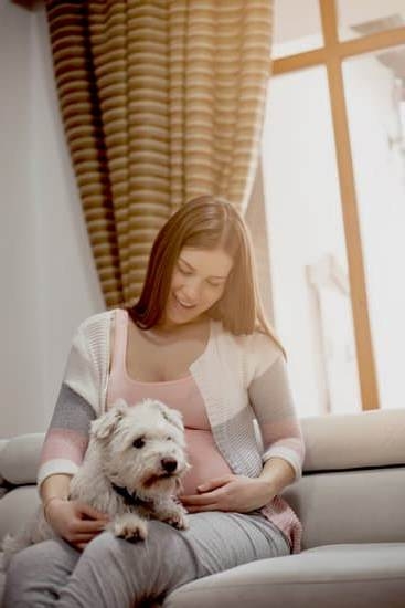 What Does Yellow Discharge In Pregnancy Mean What Does Yellow Discharge In Pregnancy Mean