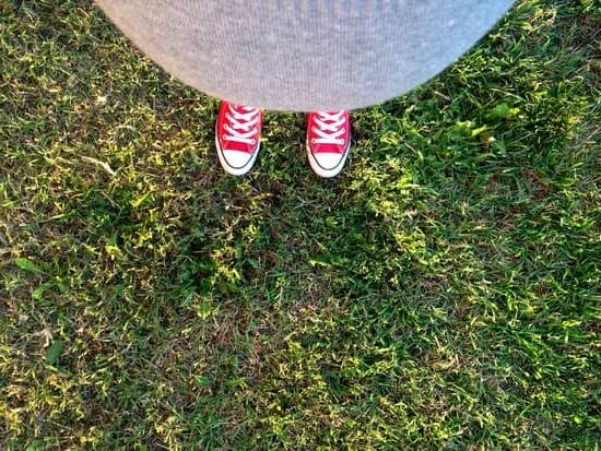 When To Take A Digital Pregnancy Test When To Take A Digital Pregnancy Test