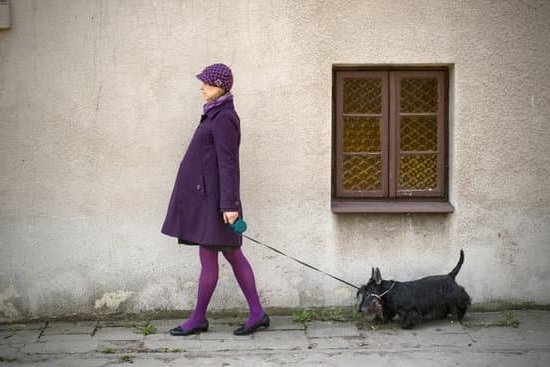 Dark Yellow Discharge Pregnancy Symptom Dark Yellow Discharge Pregnancy Symptom