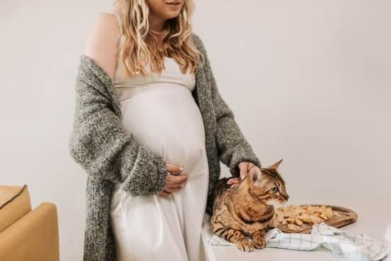 Discharge Before Period Early Pregnancy