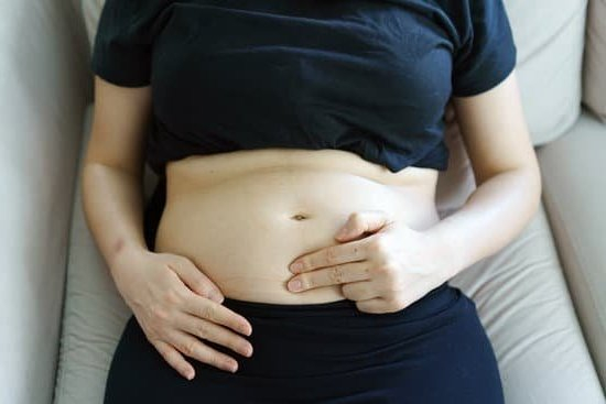 Do Dogs Discharge During Pregnancy Do Dogs Discharge During Pregnancy