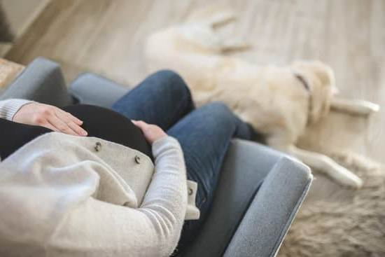 Early Pregnancy Implantation Bleeding Brown Discharge Before Period