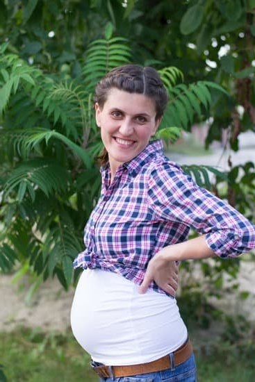 Brie Pregnancy Brie Pregnancy