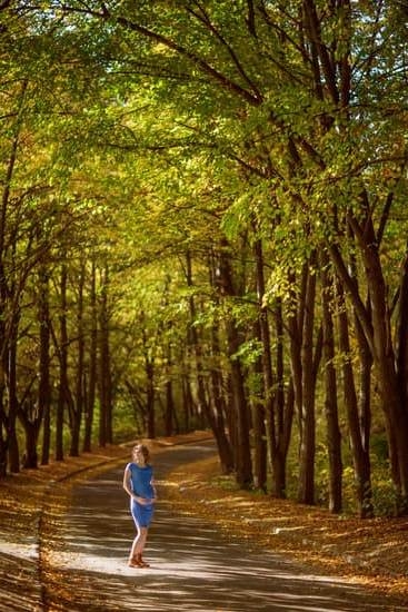 Does Lh Surge During Pregnancy