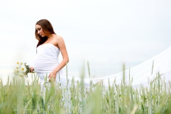 Pfizer Pregnancy Trial Results 2022