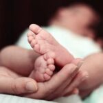 Nutritional Guidelines Pregnancy Nutritional guidelines for a healthy pregnancy: what to eat and avoid for you and your baby's health