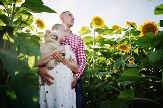 Differences in Nutritional Requirements for Pregnancy Versus Lactation Differences in Nutritional Needs: Pregnancy vs. Lactation