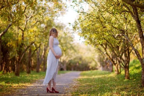 California Mare Pregnancy Nutrition: Essential Guidelines for Proper Nutrition during Pregnancy