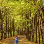 Is Optimum Nutrition Protein Safe During Pregnancy Is Optimum Nutrition Protein Safe During Pregnancy: Consult Your Doctor for Expert Advice