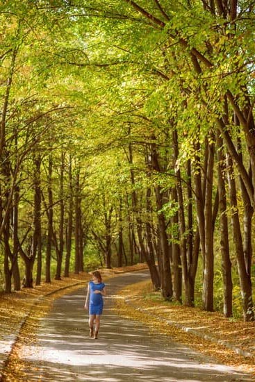 Is Optimum Nutrition Protein Safe During Pregnancy Is Optimum Nutrition Protein Safe During Pregnancy: Consult Your Doctor for Expert Advice