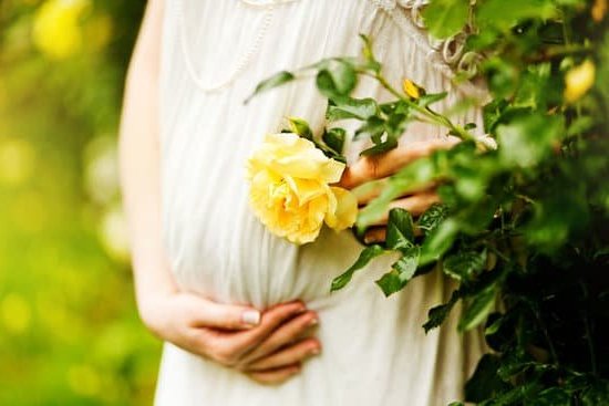 First Trimester Nutritional Supplements in Pregnancy Essential Nutritional Supplements for First Trimester Pregnancy Health