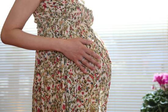 Wild Nutrition Pregnancy Review: An Honest and Detailed Look into Prenatal Nutrition