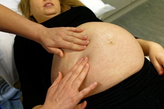 Nutritional Value of Blueberries in Pregnancy Vital during pregnancy: Discover the high nutritional value of blueberries for expectant mothers