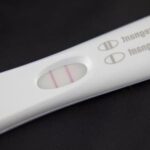 Nutritional Drinks for Pregnancy Essential Nutritional Drinks for Pregnancy: Supporting Maternal Health and Fetal Development