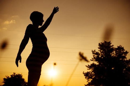 Plum Nutrition During Pregnancy Optimize pregnancy nutrition with fresh, juicy plums full of essential nutrients for the health of both mom and baby