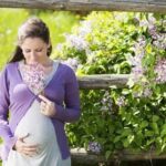 Pregnancy General Nutrition Guidelines Pregnancy nutrition guidelines: prioritize healthy fats, lean proteins, and nutrient-dense foods for optimal maternal health