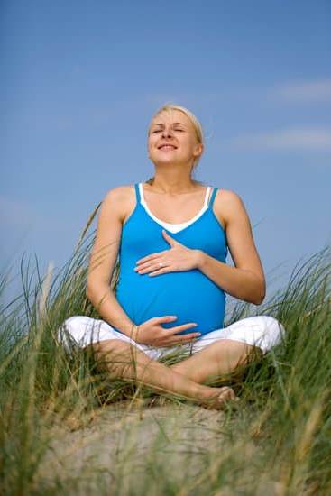 Nutritional Risk Factors of Pregnancy Nutritional risk factors during pregnancy: importance of a balanced diet for maternal and fetal health