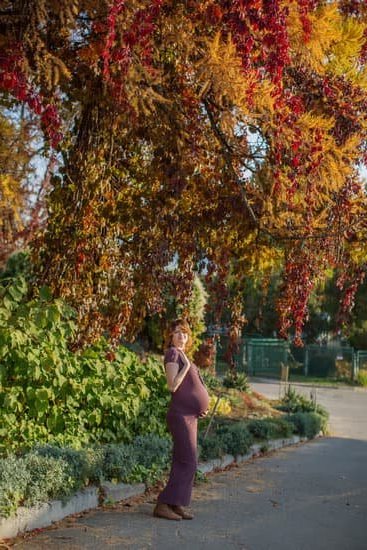 Nutrition guidelines for pregnancy in Australia: Healthy Eating for Expectant Mothers