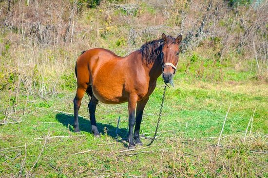 Finest Nutrition Pregnancy Health Prenatal Vitamins Essential nutrients for expectant mothers: Finest Nutrition Pregnancy Health Prenatal Vitamins. Keep mom and baby healthy